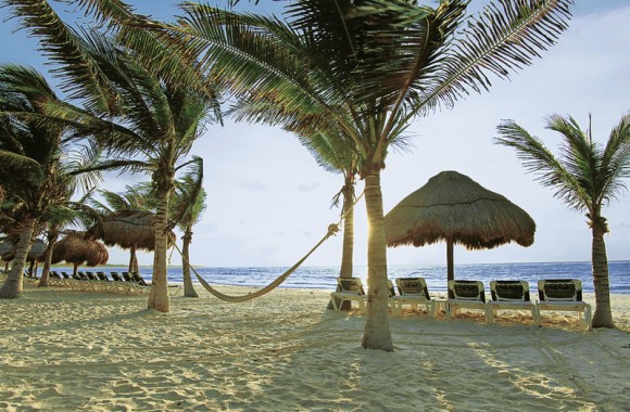 HOTEL GRAN PALLADIUM WHITE SAND hotel gran palladium white sand:
