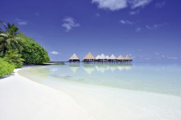 Velidhu Island Resort Buchen Velidhu Island Resort Buchen