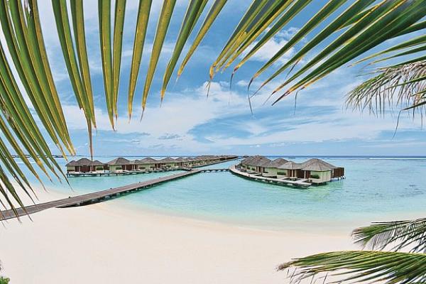 Paradise Island Resort Nord Male Atoll Paradise Island Resort Nord Male Atoll